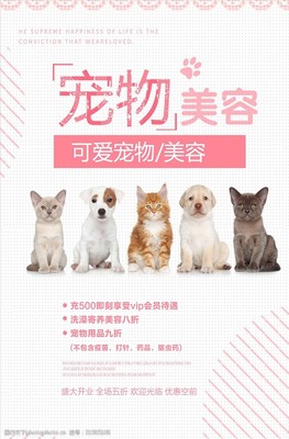 簡(jiǎn)約可愛寵物美容海報(bào)